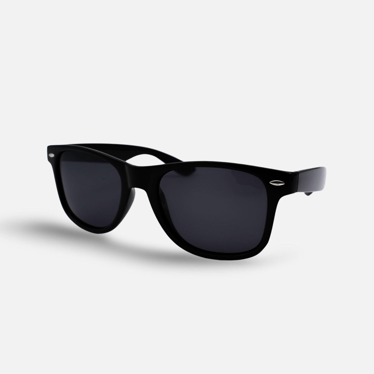 Wayfarer Black - montuurtjevoorjou